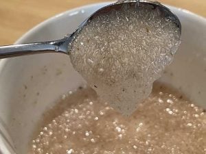 le bucce di psillio in cucina vengono idratate per formare un gel