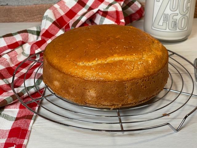 pan di spagna vegano alto, soffice e dorato pronto da tagliare a strati