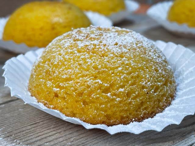 camille senza glutine con zucchero a velo