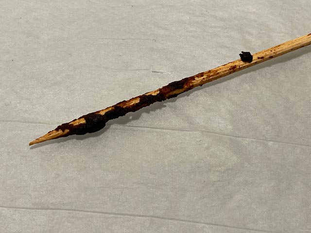 prova dello stecchino per la torta all'acqua al cacao