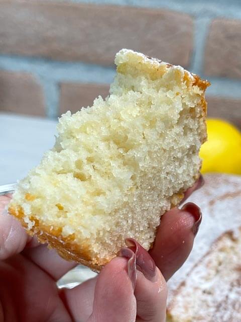 interno soffice e profumato del plumcake vegano