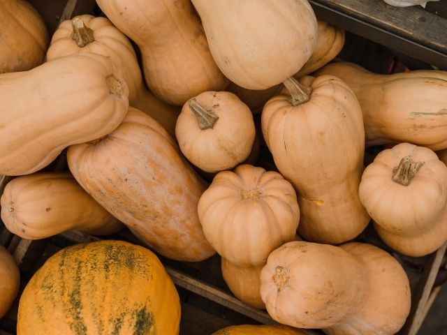 cassa di zucche tipo Butternut ottime per i pancake alla zucca