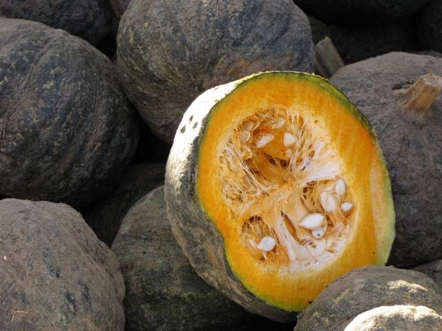 zucche tipo Delica perfette per i pancake di zucca