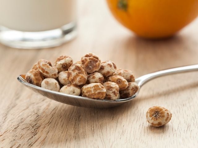 Tuberi di chufa essiccati su un cucchiaio, conosciuti come zigolo dolce.